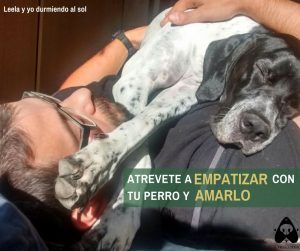 atrevete_empatizar_con_tu_perro_amarlo_