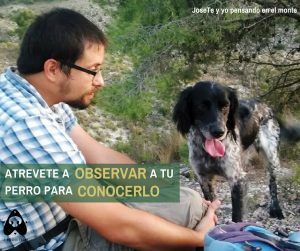 atrevete_observar_tu_perro_para_conocerlo